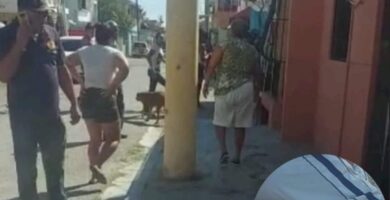 Manuel Orsini Jiménez Feliz