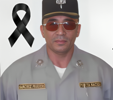 Gral. Retirado Julio Sánchez Peguero