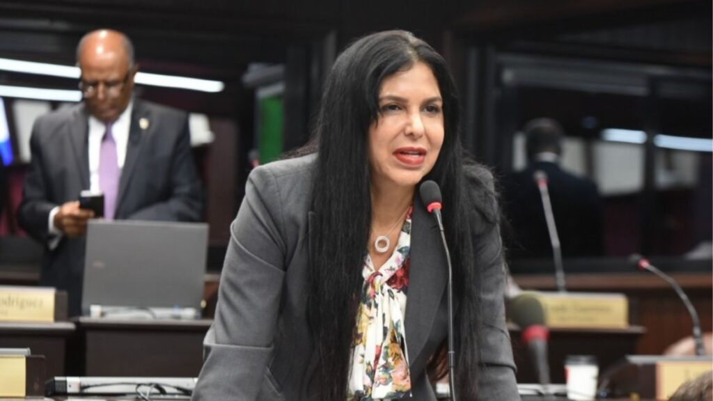 Diputada Rosa Amalia Pilarte solicita anular condena por lavado de activos