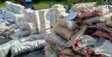 Autoridades incineran más de 1,600 kilogramos de distintas drogas