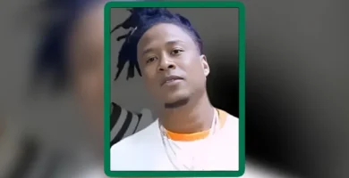 Melvin Flow