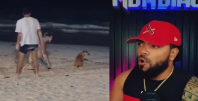 Un turista