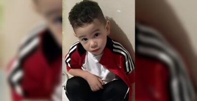 Perro rastreador busca al niño desaparecido en La Vega